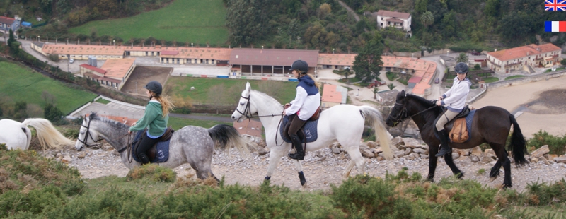 Paseos a caballo