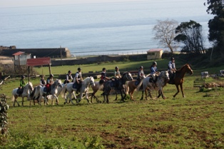 colonies d'équitation