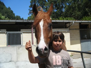 equine camps by the sea