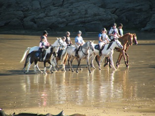 campamentos hipicos de verano