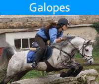 Títulos de Galopes