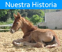 A brief history of La Gerencia Equestrian Center