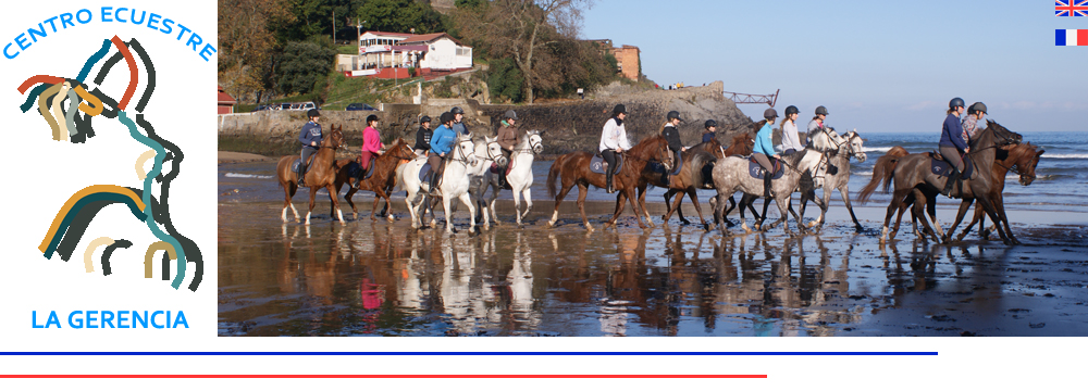 Horse Riding Camps