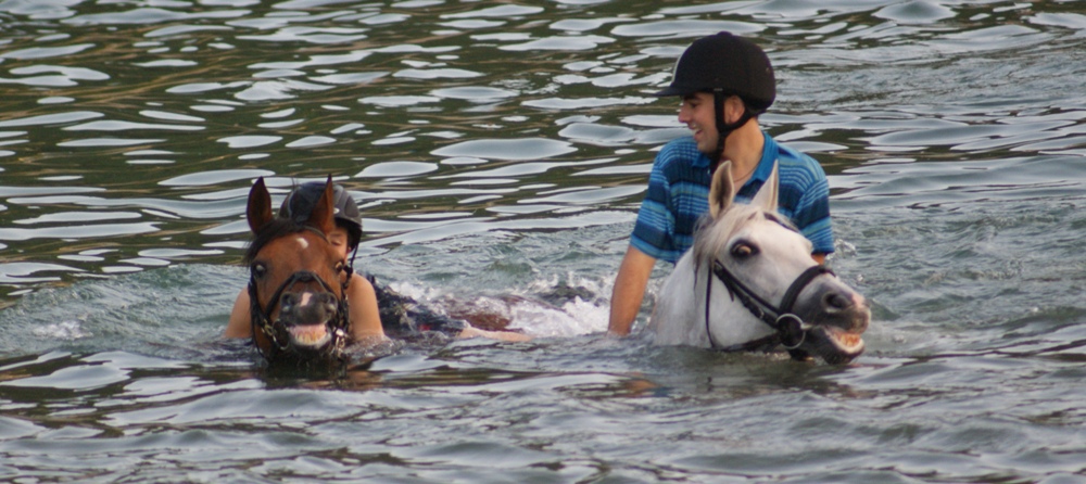 Caballos nadando en el mar en campamentos hípicos de verano 