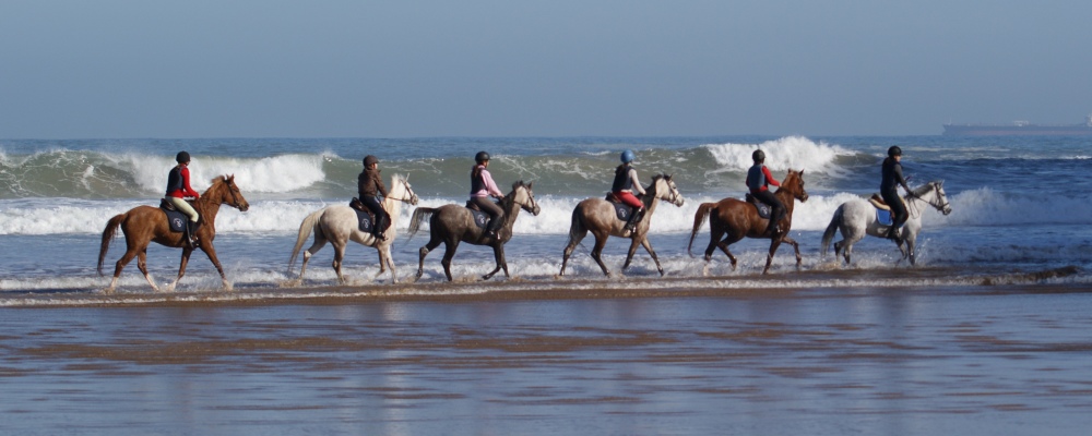 Cabalgando en la playa de Mioo