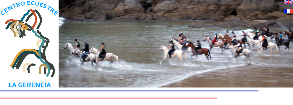 colonies équestres d'équitation